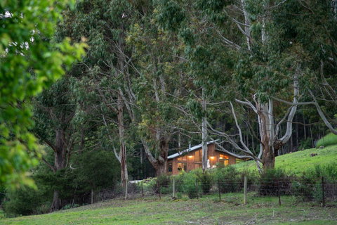 Adventure Bay Retreat Bruny Island - Accommodation NSW 24