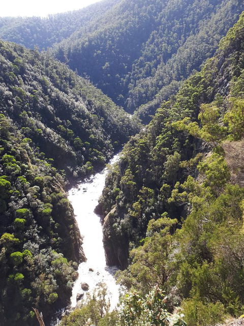 Robin\'s Nest B&B - Accommodation NSW 22