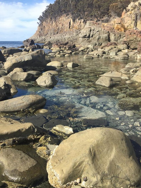 970 Adventure Bay Road - Accommodation NSW 2