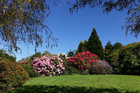 Highgrove - Accommodation NSW 15