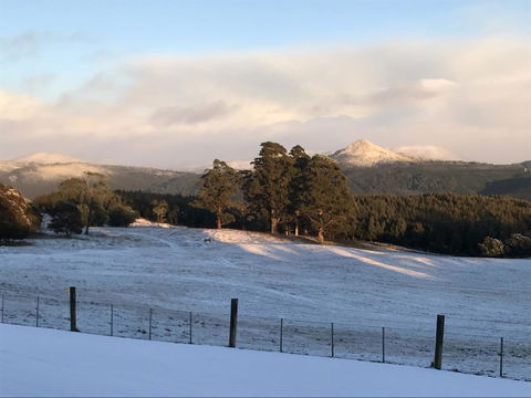 Highgrove - Accommodation NSW 26