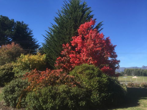 Highgrove - Accommodation NSW 22