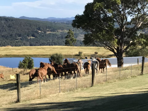 Highgrove - Accommodation NSW 25