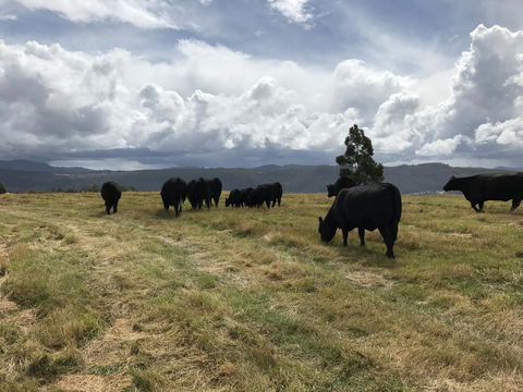Highgrove - Accommodation NSW 24
