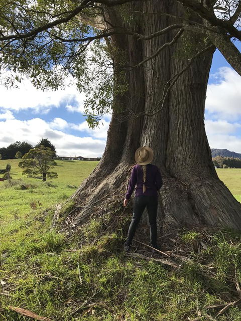 Highgrove - Accommodation NSW 21