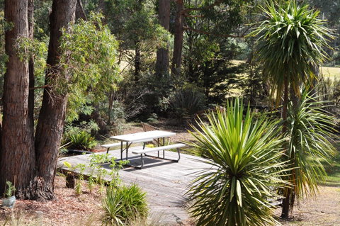 Oyster Cove Chalet - Accommodation NSW 24