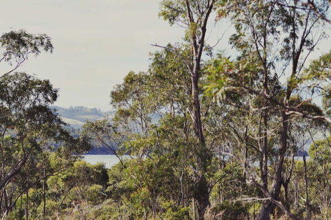 Oyster Cove Chalet - Accommodation NSW 17