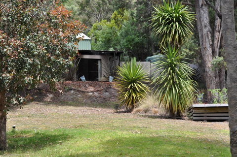 Oyster Cove Chalet - Accommodation NSW 21
