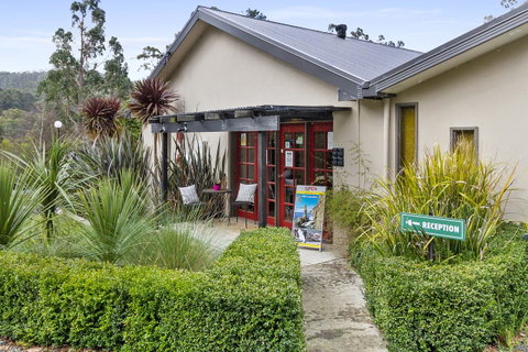 Oyster Cove Chalet - Accommodation NSW 13