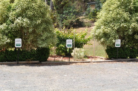 Oyster Cove Chalet - Accommodation NSW 19