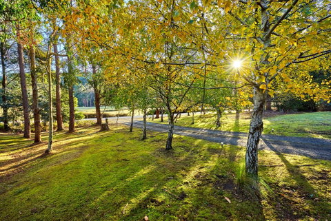Oyster Cove Chalet - Accommodation NSW 1