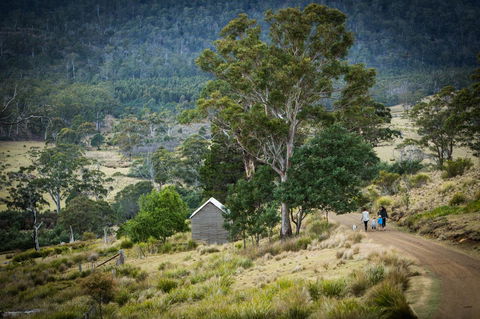 Twamley Farm - Accommodation NSW 16