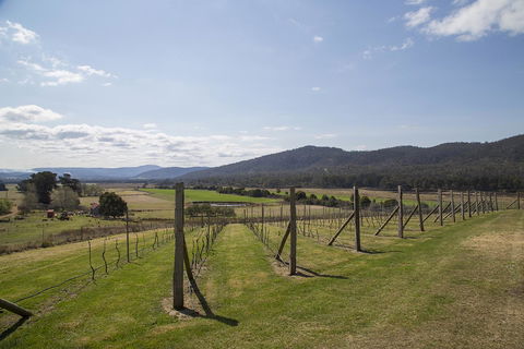 Twamley Farm - Accommodation NSW 7