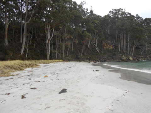 Bruny Ocean Cottage - Accommodation NSW 12