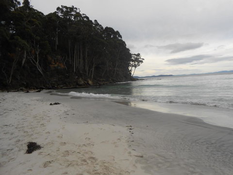 Bruny Ocean Cottage - Accommodation NSW 17