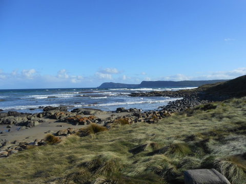 Bruny Ocean Cottage - Accommodation NSW 15