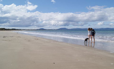 Nine Mile Escape - Accommodation NSW 2