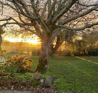 Peg Cottage - Accommodation NSW