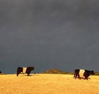 Peppertree Hill - Accommodation NSW