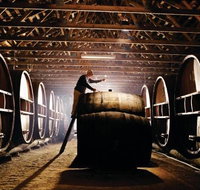 Pieter van Gent Winery  Vineyard - Accommodation NSW