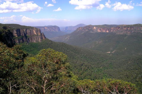 Ribbon Gum Lodge - Accommodation NSW 1