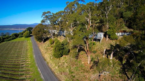 River Vineyard Retreat - Accommodation NSW 1