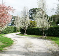 Robin Hill Manor - rambling retreat  tennis court - Accommodation NSW