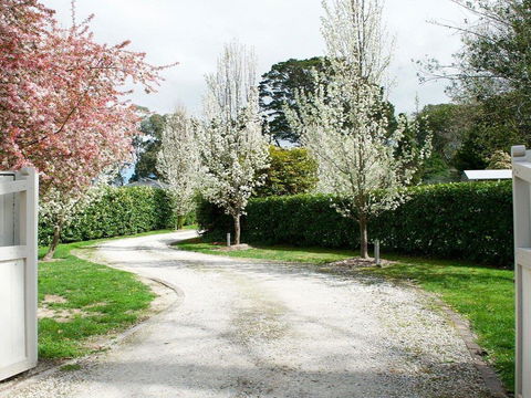 Robin Hill Manor - Rambling Retreat & Tennis Court - Accommodation NSW 0