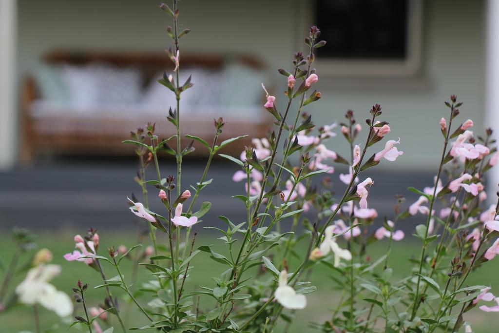 Allynbrook ACT Accommodation NSW