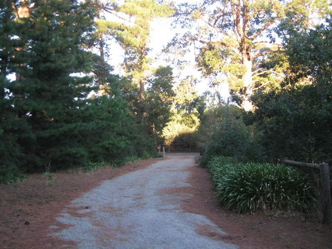 Sherwood Park - Accommodation NSW 1