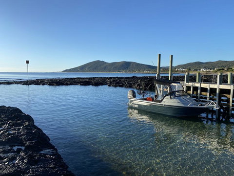 Sisters Beach Retreat - Accommodation NSW 3