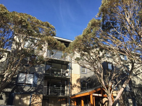 Snowflake 12 - Accommodation NSW 0