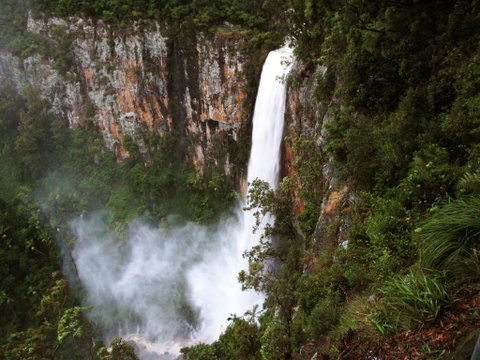 Springbrook Lyrebird Retreat - Accommodation NSW 2