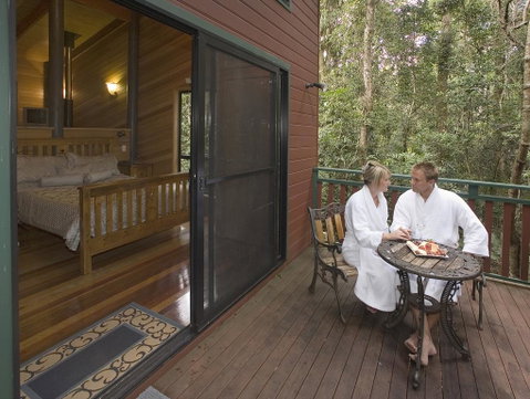 Springbrook Lyrebird Retreat - Accommodation NSW 3