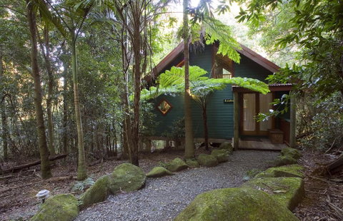 Springbrook Lyrebird Retreat - Accommodation NSW 1
