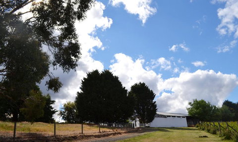 Springhill Winery - Accommodation NSW 2