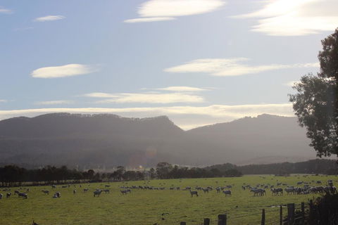 St Marys Hotel And Bistro - Accommodation NSW 3