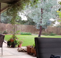 Sue's Sanctuary - Accommodation NSW