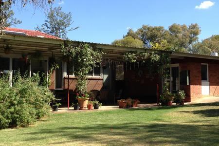 Sue's Sanctuary - Accommodation NSW 3
