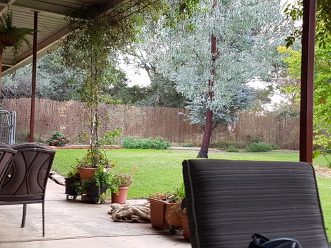 Sue's Sanctuary - Accommodation NSW 0