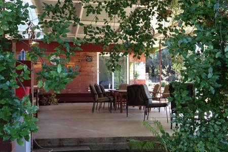 Sue's Sanctuary - Accommodation NSW 1