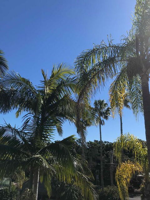 Terrigal Pacific Coastal Retreat - Accommodation NSW 3
