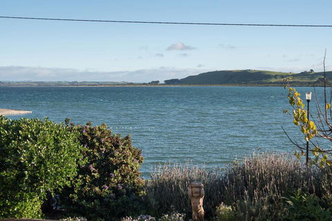 The Ark Stanley Luxury Bed And Breakfast - Accommodation NSW 1