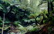 Corinna Wilderness Village - thumb 41