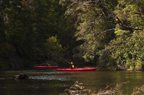 Corinna Wilderness Village - Accommodation NSW 38