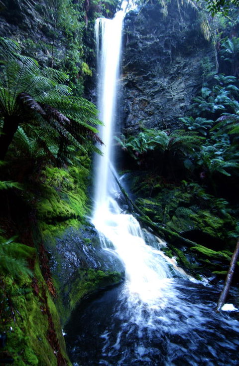 Corinna Wilderness Village - Accommodation NSW 40