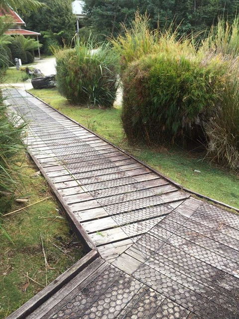 Corinna Wilderness Village - Accommodation NSW 3