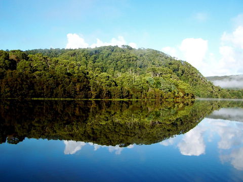 Corinna Wilderness Village - Accommodation NSW 36