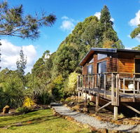 Southern Forest Accommodation - Accommodation NSW
