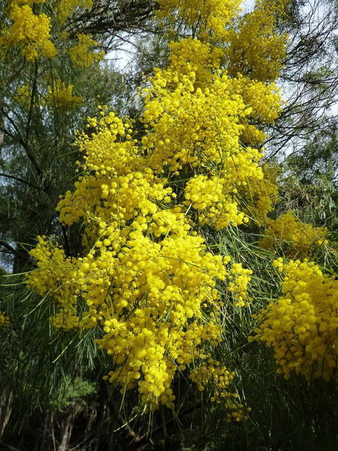 Eagles Rise Tasmania - Accommodation NSW 29